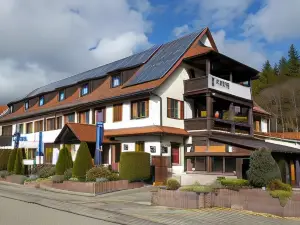 Hotel Seltenbacher Hof