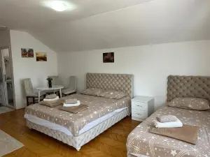 Hostel Gray