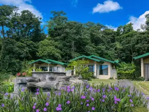 Arenal Roca Suites
