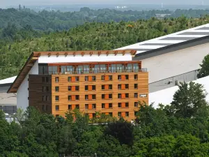 Alpine Hotel SnowWorld