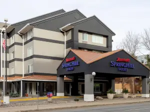 SpringHill Suites Rochester Mayo Clinic Area/Saint Marys