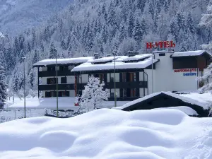 Hotel Davost