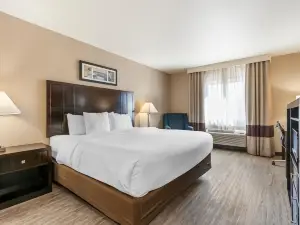Comfort Inn Troutdale-Portland East