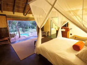The Safari Lodge- Amakhala Game Reserve