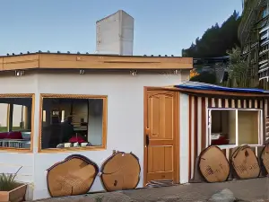 Patagonia Bordelago