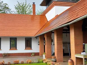 Guest House Vidravar