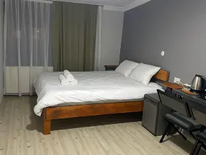 Convenient and Furnished Flat in Izmir Bayrakli