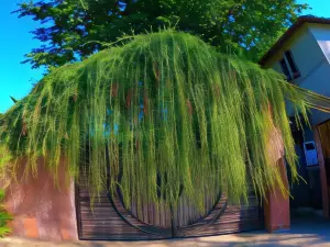 Sdd Bamboo Village Resort