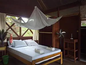 Tambopata River