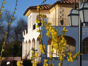 Anima Antiqua Relais & Spa