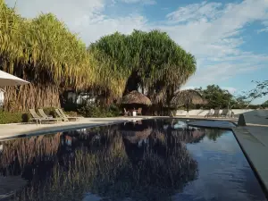 Palm Coast Luxury Rentals