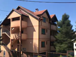 Apartments Vila Hercegovina