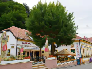 Hotel Koruna