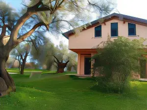 La Piana Degli Ulivi