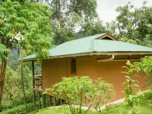 Ichumbi Gorilla Lodge