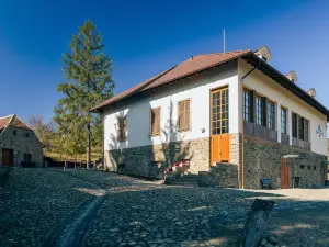 Casa Kraus