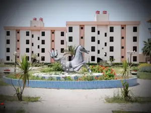 Ras El Bar Apartments Armed Forces
