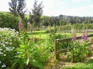 Warm Earth Cottages