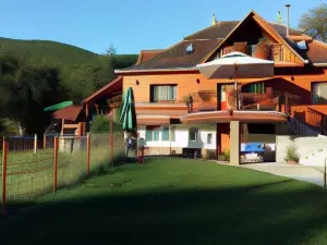 Pensiunea Casa Butnarului