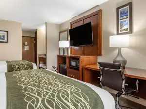 Comfort Inn & Suites Dimondale - Lansing