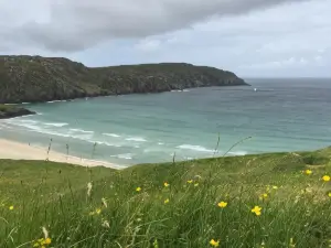 ウィグ サンズ ルームズ