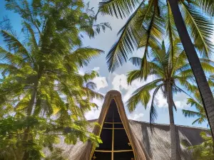 Turtle Cove Lodge and Yoga Shala