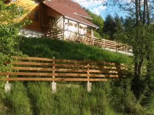 Pensiunea Casa Motilor