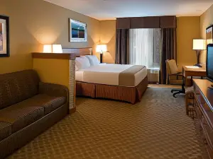 Holiday Inn Express & Suites Chicago West-Roselle