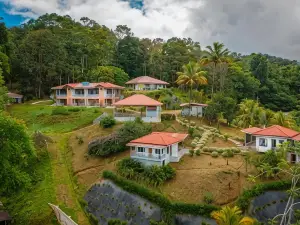 Colinas Tinamastes