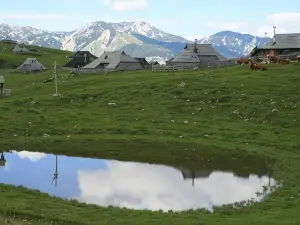 Chalet Pehta Velika Planina