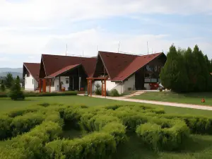 Drumul Dragostei