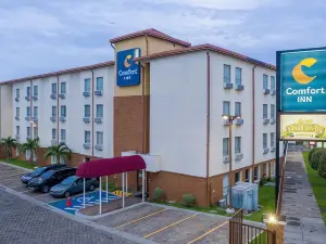 Comfort Inn Real San Miguel