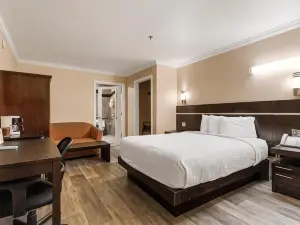 컨트리 인 소노라