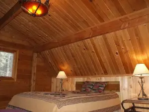 Charming 3 bedroom cabin in the White Mountains, Tal Wi Wi/Alpine with WIFI