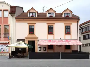 Penzion Chalupa U Mestske brany