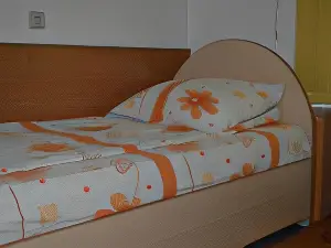 Guest House Vila Horizont