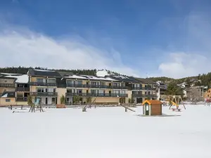 ピエール & バカンス レジデンス ル セコイア