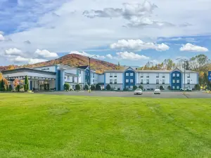 Comfort Inn Asheville East-Blue Ridge Pkwy Access