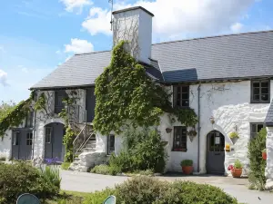 Dolgun Uchaf Historic B&B and Cottages in Snowdonia
