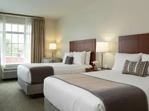 Hotel Anthracite