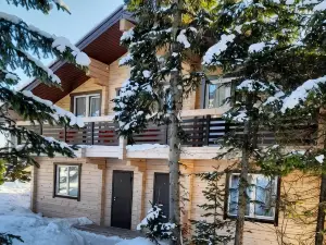 Shipovnik Mini Hotel