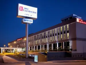 힐튼 가든 인 에르진칸