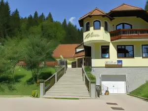Guest House Hober