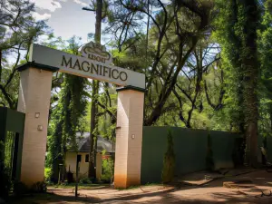 Resort Magnifico