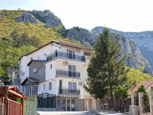 Раде 3-Враца