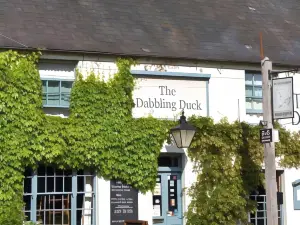 The Dabbling Duck
