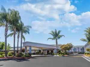 Holiday Inn Dublin-Pleasanton