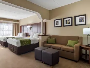 Comfort Suites Woodstock - Atlanta North