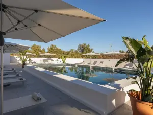 Estudios Salinas - Fuseta