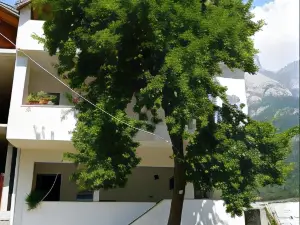 Guesthouse Skender Selimaj